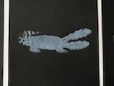 Thumbnail Img 7662
